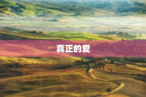 真正的爱 真正的爱