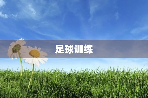 足球训练 足球训练