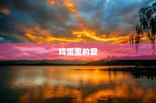 鸡蛋里的爱