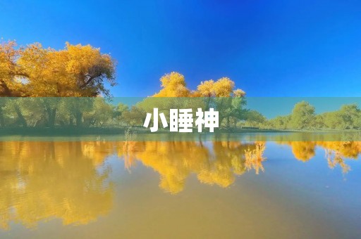 小睡神 小睡神