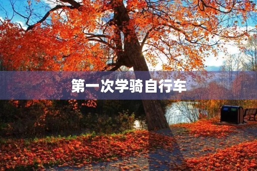 第一次学骑自行车 第一次学骑自行车