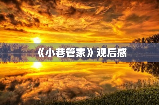 《小巷管家》观后感 《小巷管家》观后感