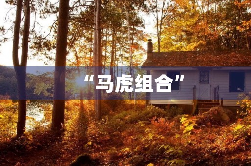 “马虎组合” “马虎组合”