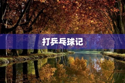 打乒乓球记 打乒乓球记