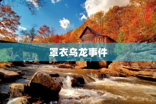 罩衣乌龙事件 罩衣乌龙事件