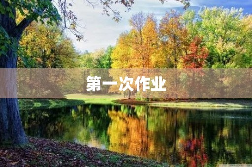第一次作业 第一次作业