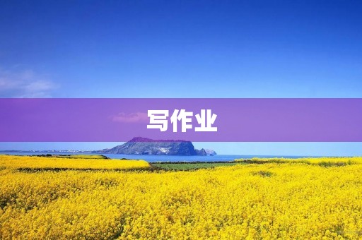 写作业