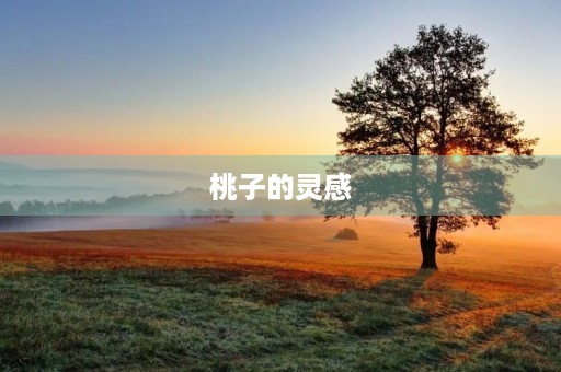 桃子的灵感 桃子的灵感