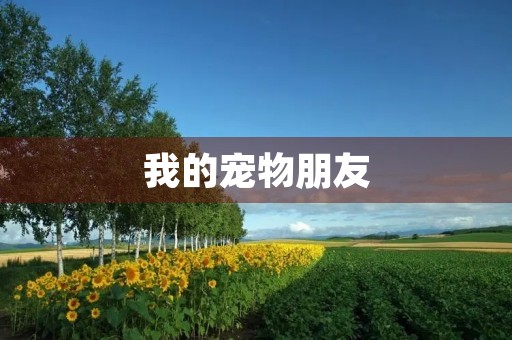 我的宠物朋友 我的宠物朋友