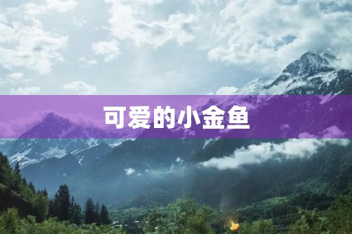 可爱的小金鱼 可爱的小金鱼