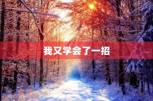 我又学会了一招 我又学会了一招