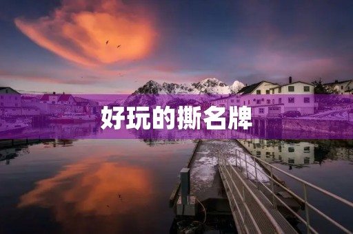 好玩的撕名牌 好玩的撕名牌