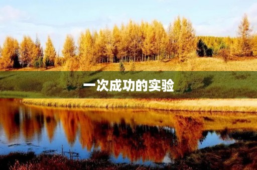 一次成功的实验 一次成功的实验