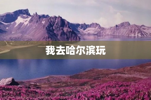 我去哈尔滨玩
