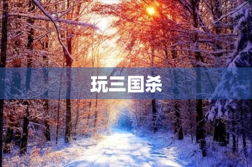 玩三国杀 玩三国杀