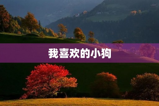 我喜欢的小狗 我喜欢的小狗