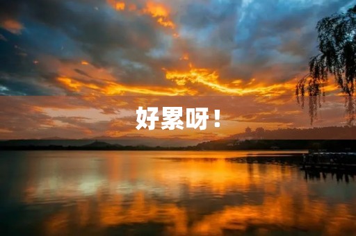 好累呀! 好累呀!