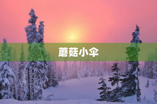 蘑菇小伞 蘑菇小伞