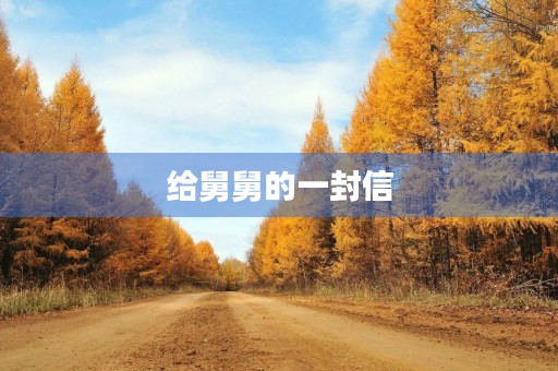 给舅舅的一封信 给舅舅的一封信