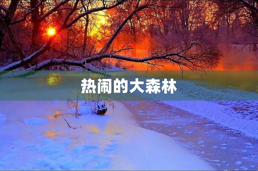 热闹的大森林 热闹的大森林