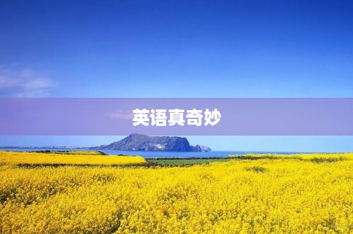 英语真奇妙 英语真奇妙