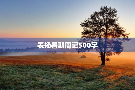 表扬暑期周记500字 表扬暑期周记500字