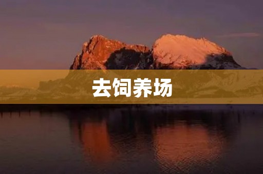 去饲养场 去饲养场