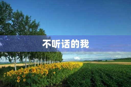 不听话的我