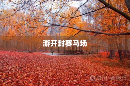 游开封赛马场 游开封赛马场