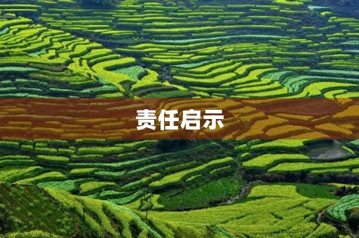 责任启示 责任启示