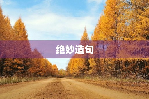 绝妙造句