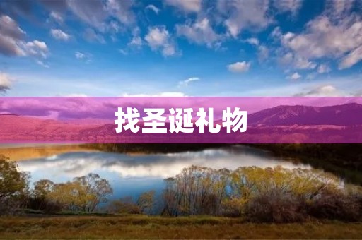 找圣诞礼物