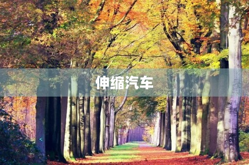 伸缩汽车 伸缩汽车