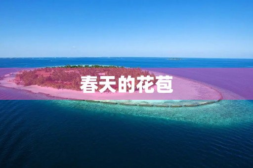 春天的花苞 春天的花苞