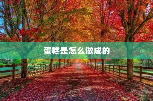 蛋糕是怎么做成的 蛋糕是怎么做成的