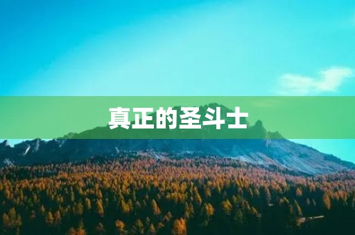 真正的圣斗士 真正的圣斗士
