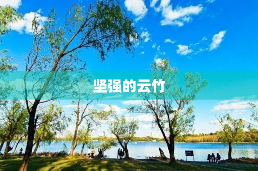 坚强的云竹 坚强的云竹