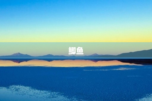 鲫鱼 鲫鱼
