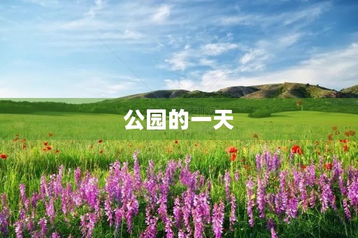 公园的一天 公园的一天