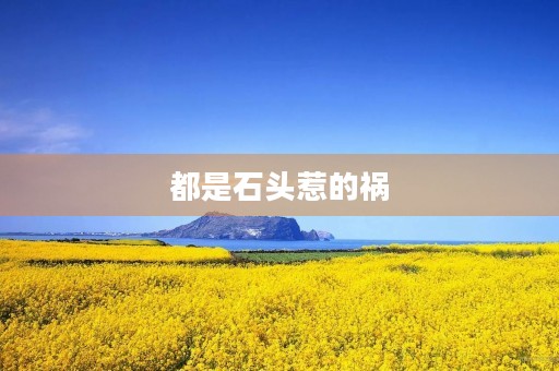 都是石头惹的祸 都是石头惹的祸