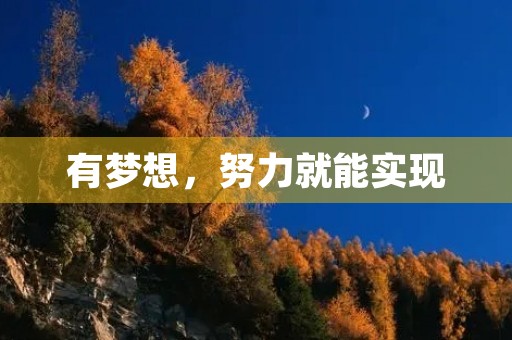 有梦想,努力就能实现 有梦想,努力就能实现