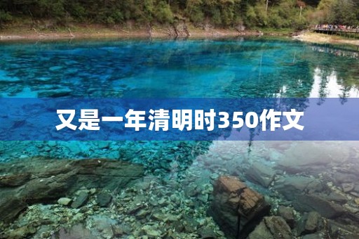 又是一年清明时350作文