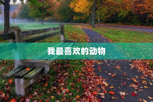 我最喜欢的动物 我最喜欢的动物