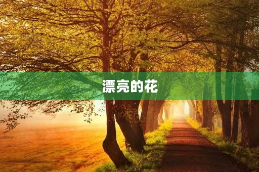 漂亮的花 漂亮的花