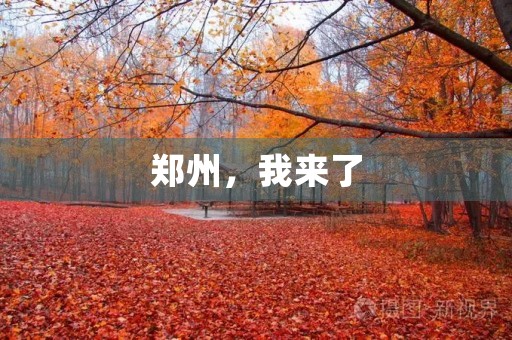 郑州，我来了