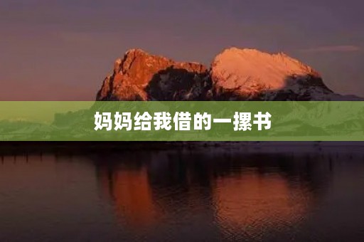 妈妈给我借的一摞书 妈妈给我借的一摞书
