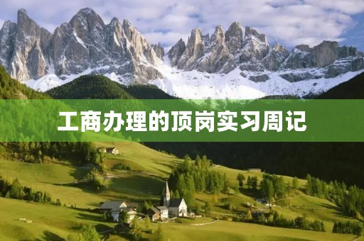 工商办理的顶岗实习周记