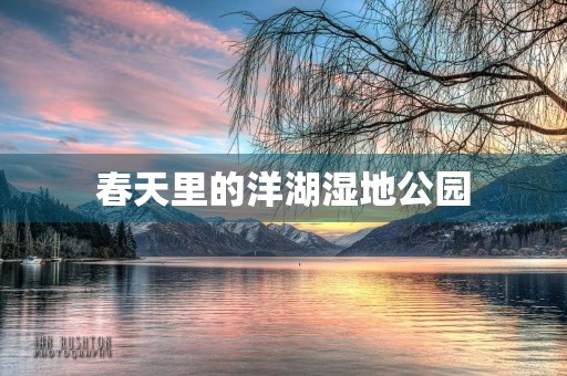 春天里的洋湖湿地公园 春天里的洋湖湿地公园