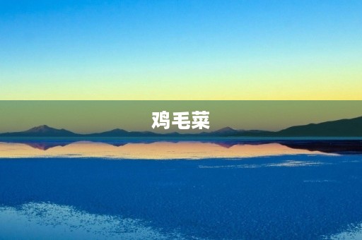 鸡毛菜