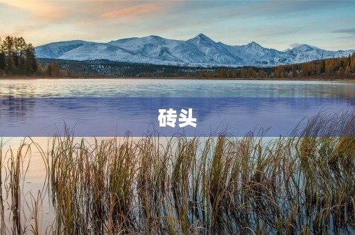 砖头
